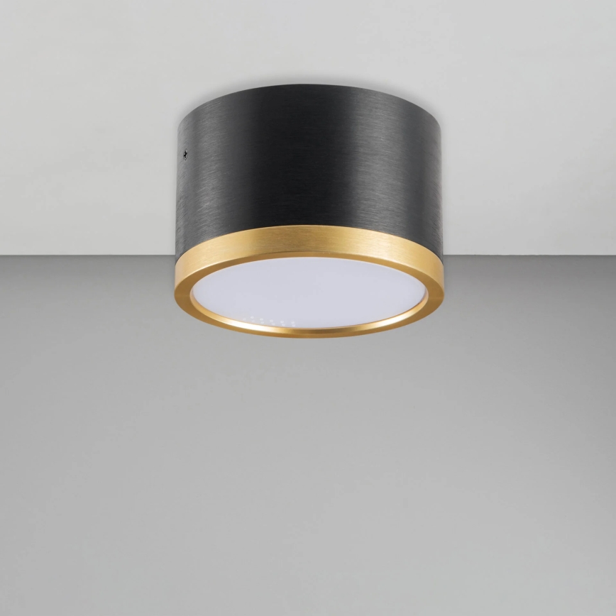 LED Stropné svietidlo MIRELLA 1xGX53/6W/230V čierna/zlatá