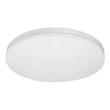 LED Stropné svietidlo MONY LED/26W/230V 3000K