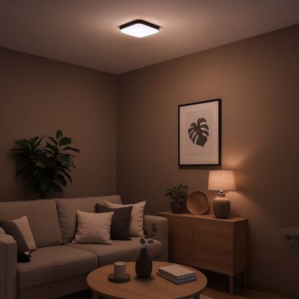 LED stropné svietidlo NEMO LED/11W/230V 26x26 cm čierne