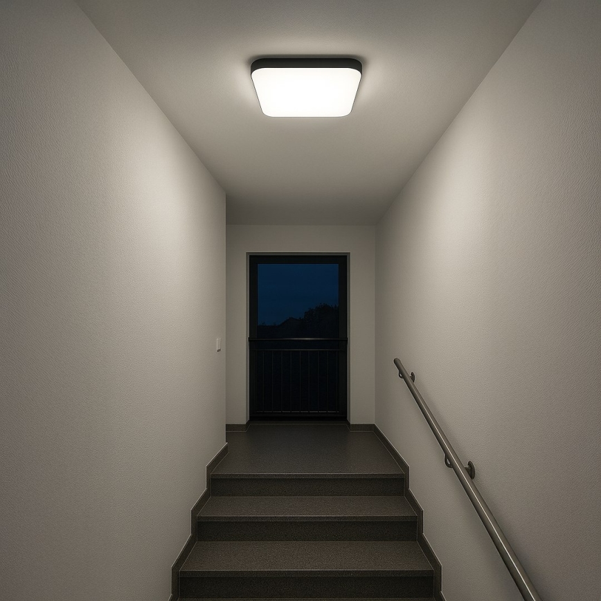LED Stropné svietidlo NEMO LED/36W/230V 50x50 cm čierna