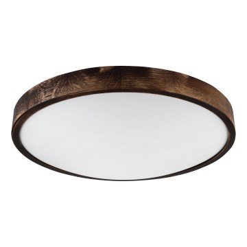 LED stropné svietidlo OAK SMOKY SLIM LED/36W/230V 4000K pr. 47 cm dub/tmavohnedá
