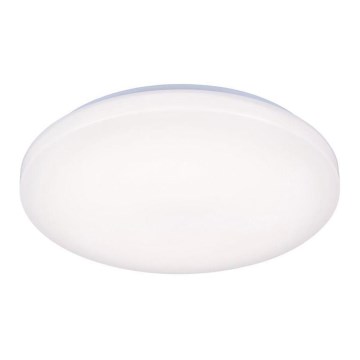 LED Stropné svietidlo OPAL LED/50W/176-264V