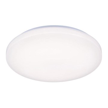 LED Stropné svietidlo OPAL LED/50W/176-264V