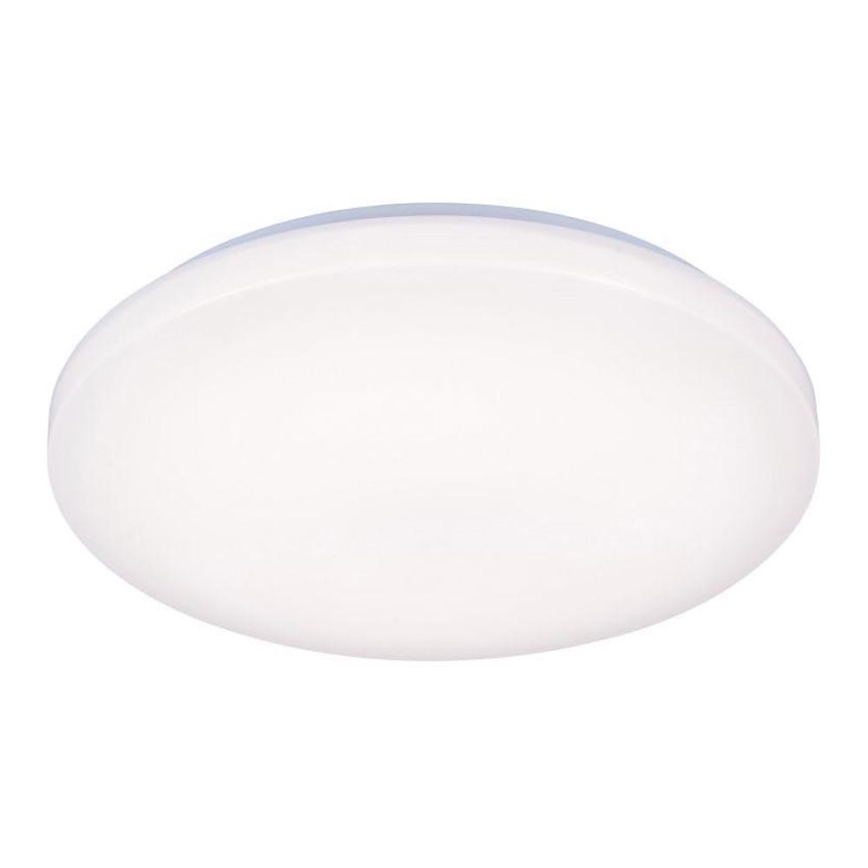 LED Stropné svietidlo OPAL LED/50W/176-264V