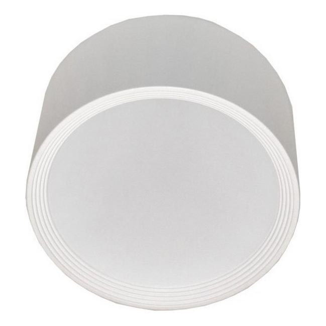 LED Stropné svietidlo PERCI LED/30W/230V IP40 4000K biela