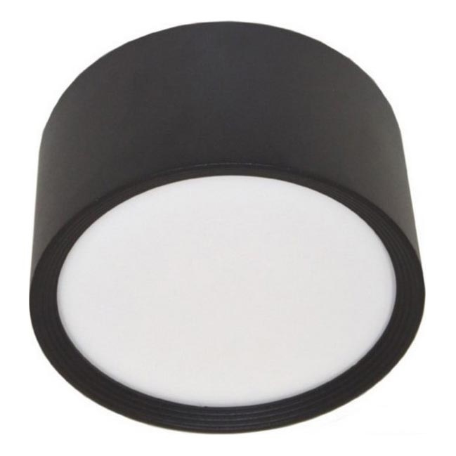 LED Stropné svietidlo PERCI LED/30W/230V IP40 4000K čierna