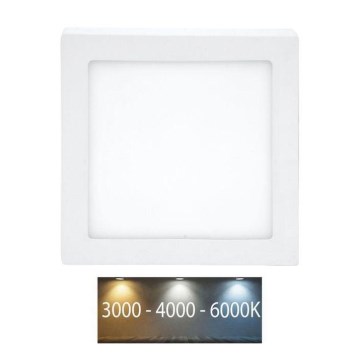 LED Stropné svietidlo RAFA LED/12W/230V 3000/4000/6000K 17x17 cm biela