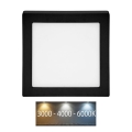 LED Stropné svietidlo RAFA LED/12W/230V 3000/4000/6000K 17x17 cm čierna