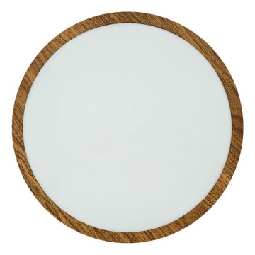 LED Stropné svietidlo RING LED/24W/230V 4200K pr. 28,5 cm hnedá