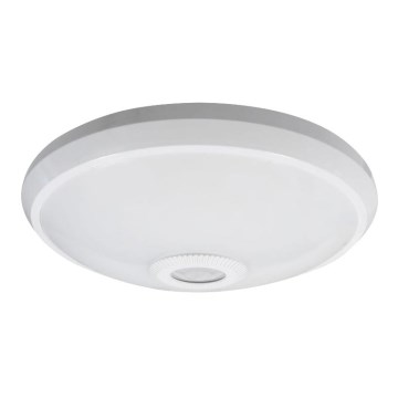 LED stropné svietidlo s pohybovým a súmrakovým senzorom LED/12W/230V