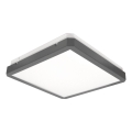 LED stropné svietidlo s pohybovým a súmrakovým senzorom RAVA LED/38W/230V 4000K 41x41 cm antracit