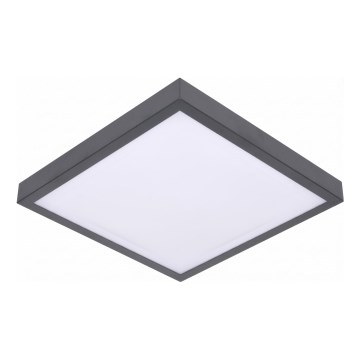 LED stropné svietidlo s pohybovým a súmrakovým senzorom VITALI LED/24W/230V 4000K 33x33 cm antracit