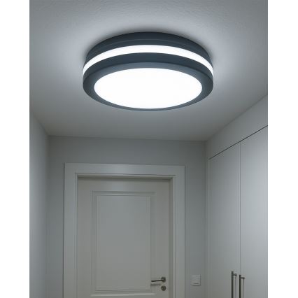 LED kúpeľňové stropné svietidlo s pohybovým senzorom, 20 W, 230 V, 3000/4000/6500 K, priemer 23 cm, IP54, antracit
