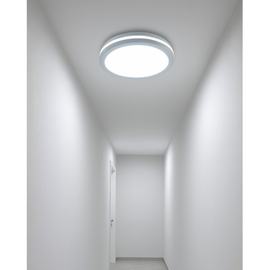 LED kúpeľňové stropné svietidlo s pohybovým senzorom LED/20W/230V 3000/4000/6500K pr. 23 cm IP54 biela