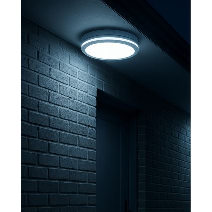 LED kúpeľňové stropné svietidlo s pohybovým senzorom LED/20W/230V 3000/4000/6500K pr. 23 cm IP54 biela