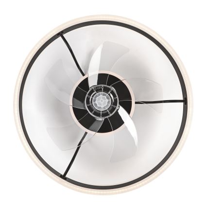 LED Stmievateľné stropné svietidlo s ventilátorom APOLLO LED/38W/230V čierna + diaľkové ovládanie