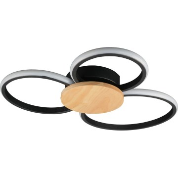LED stropné svietidlo SABINA LED/38W/230V kaučukovník