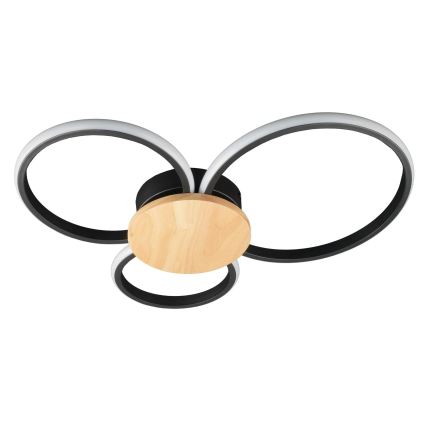 LED stropné svietidlo SABINA LED/38W/230V kaučukovník