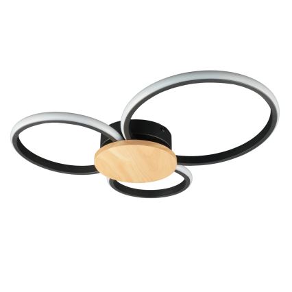 LED stropné svietidlo SABINA LED/38W/230V kaučukovník