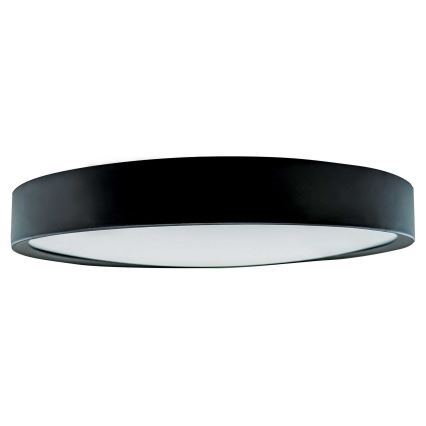 LED Stropné svietidlo SAMER LED/32W/230V 4000K