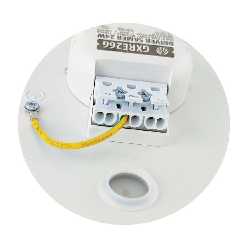 LED Stropné svietidlo SAMER LED/32W/230V 4000K