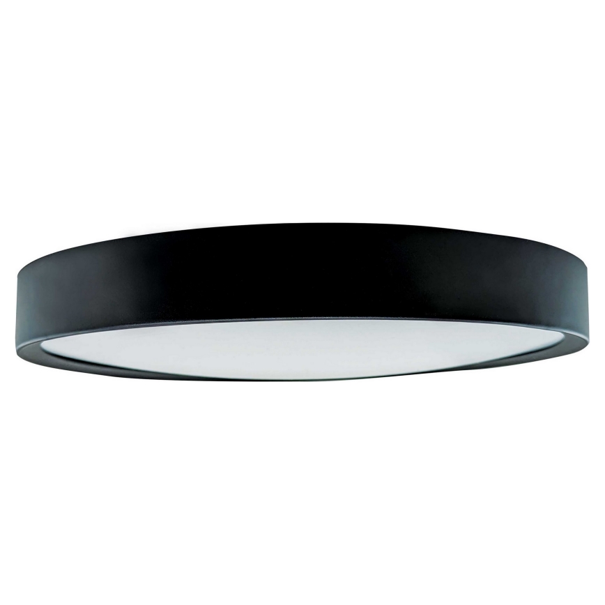 LED Stropné svietidlo SAMER LED/40W/230V 4000K