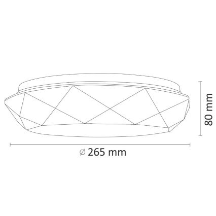 LED Stropné svietidlo SELINA LED/12W/230V