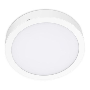 LED Stropné svietidlo SIGARO CIRCLE LED/24W/230V 4000K IP40