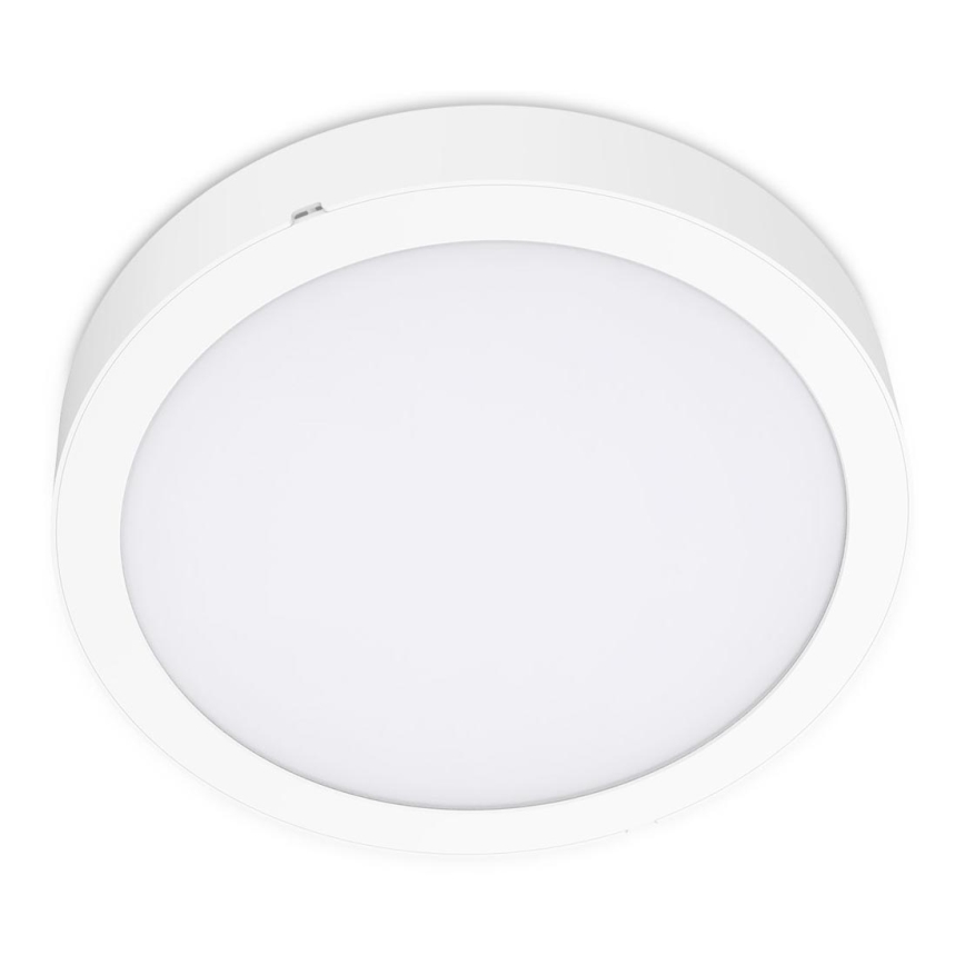 LED Stropné svietidlo SIGARO CIRCLE LED/24W/230V 4000K IP40