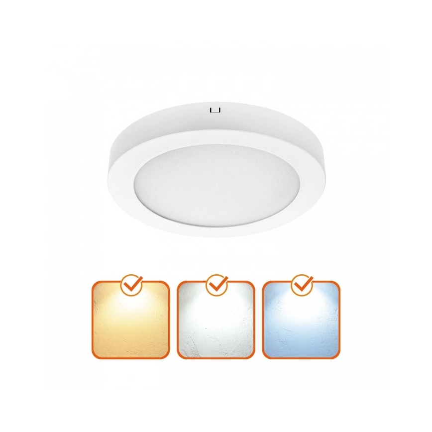 LED stropné svietidlo SIGARO LED/18W/230V 3000/4000/6500K pr. 22 cm biela