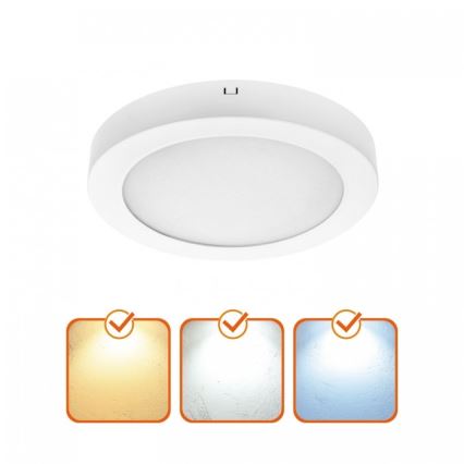 LED stropné svietidlo SIGARO LED/24W/230V 3000/4000/6500K pr. 22 cm biele