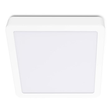 LED Stropné svietidlo SIGARO SQUARE LED/18W/230V 4000K IP40