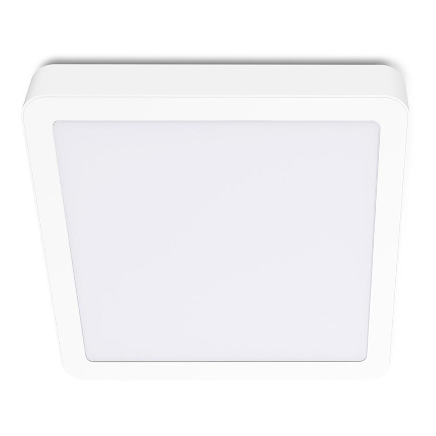 LED Stropné svietidlo SIGARO SQUARE LED/24W/230V 4000K IP40