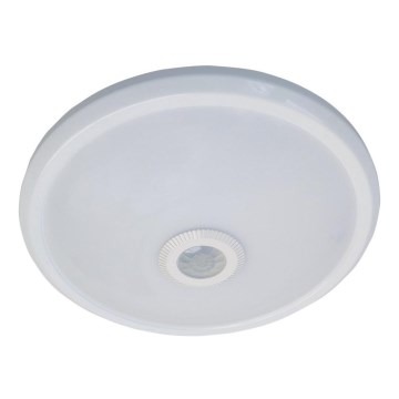 LED Stropné svietidlo so senzorom 1xLED/16W/230V