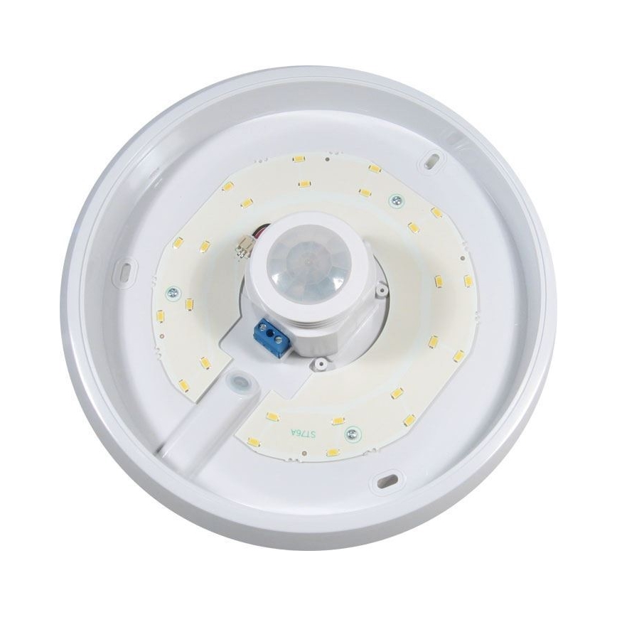 LED Stropné svietidlo so senzorom LED/12W/230V
