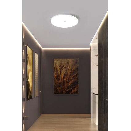 LED stropné svietidlo so senzorom súmraku a pohybu MORETTI LED/24W/230V pr. 30 cm IP40 6500K