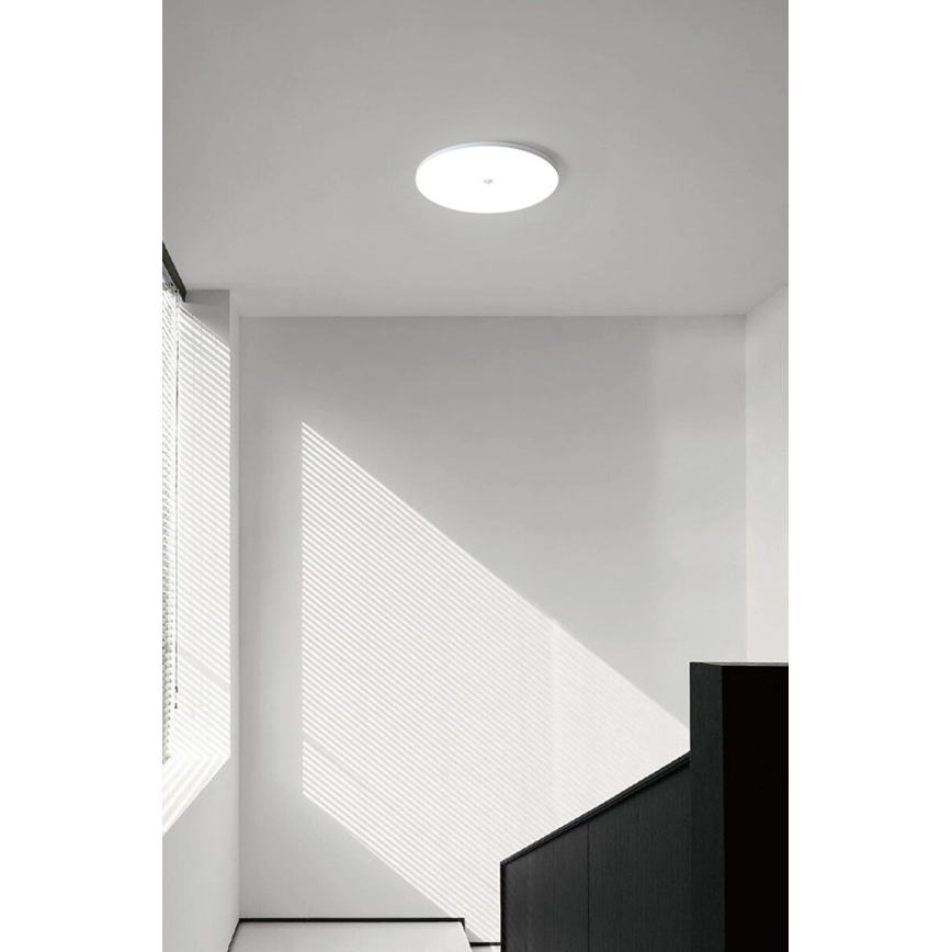 LED stropné svietidlo so senzorom súmraku a pohybu MORETTI LED/24W/230V pr. 30 cm IP40 6500K