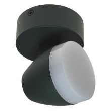 LED Stropné svietidlo SURMUR LED/6W/230V zelená