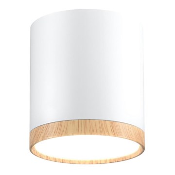 LED Stropné svietidlo TUBA LED/5W/230V biela/béžová