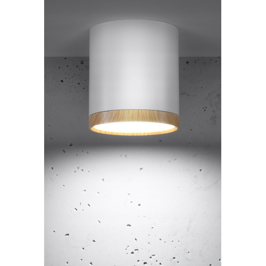 LED Stropné svietidlo TUBA LED/5W/230V biela/béžová