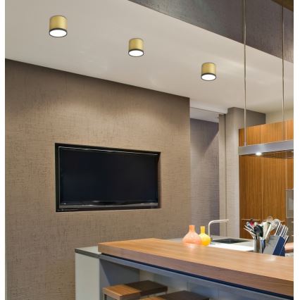 LED Stropné svietidlo TUBA LED/9W/230V