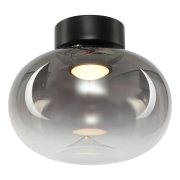 LED Stropné svietidlo VASO LED/4W/230V pr. 18 cm čierna/dymová
