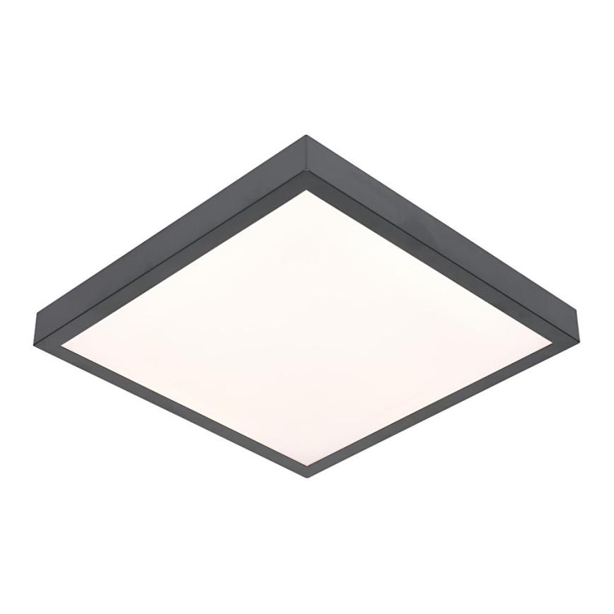 LED Stropné svietidlo VITALI LED/24W/230V