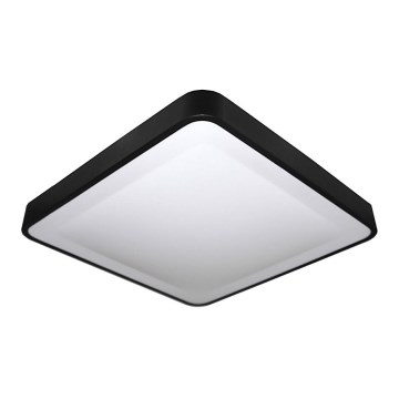 LED Stropné svietidlo WILTON LED/24W/230V 37,5x37,5 cm čierna