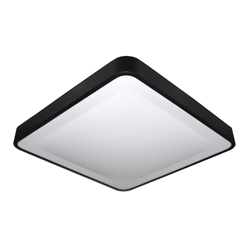 LED Stropné svietidlo WILTON LED/24W/230V 37,5x37,5 cm čierna