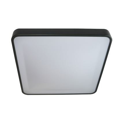 LED Stropné svietidlo WILTON LED/24W/230V 37,5x37,5 cm antracit
