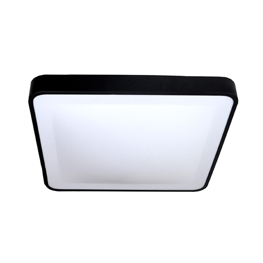 LED Stropné svietidlo WILTON LED/24W/230V 37,5x37,5 cm čierna