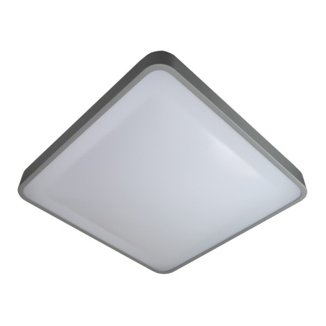LED Stropné svietidlo WILTON LED/24W/230V šedá