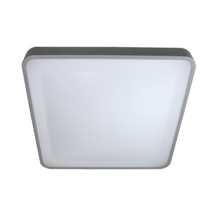 LED Stropné svietidlo WILTON LED/24W/230V 37,5x37,5 cm šedá