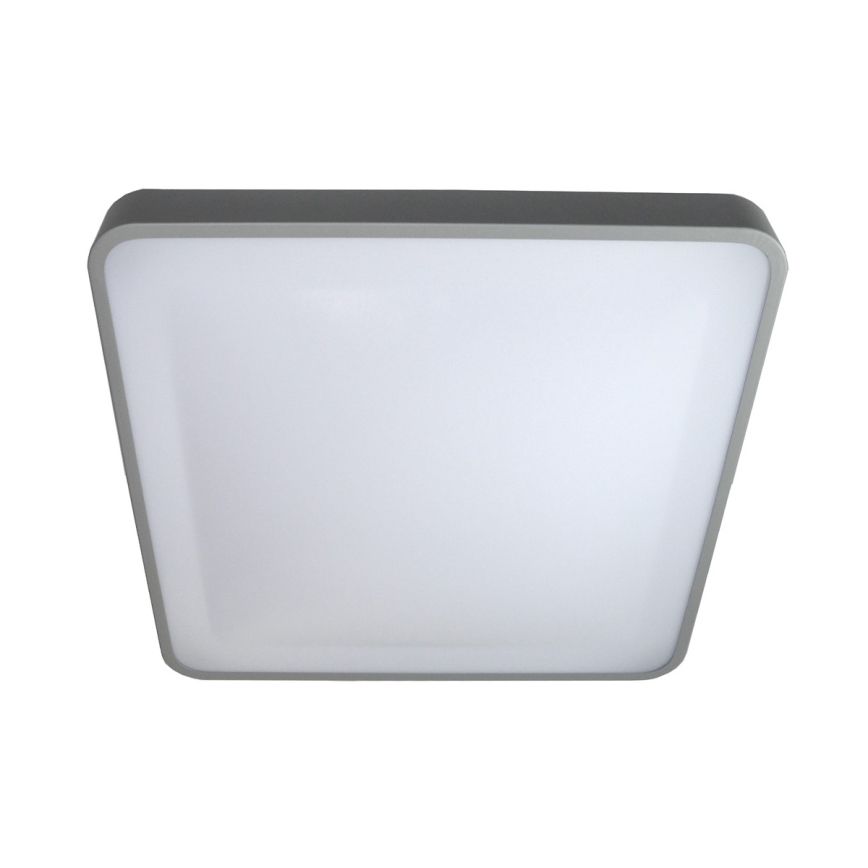 LED Stropné svietidlo WILTON LED/24W/230V 37,5x37,5 cm šedá